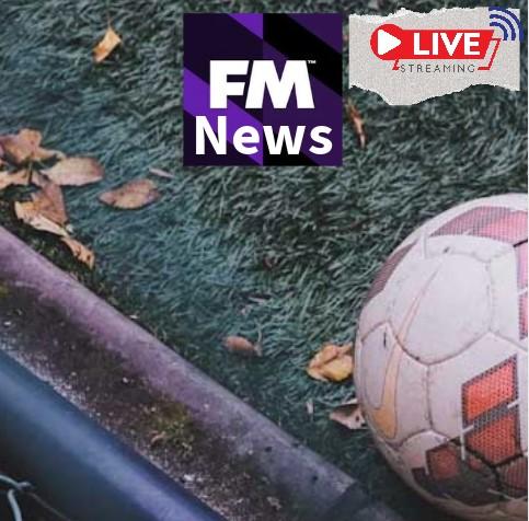 FM News: Football Manager Inovations reports by FM Wonderkid