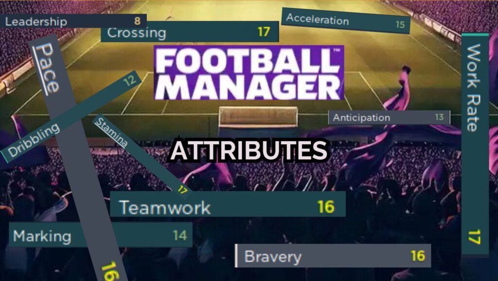 Football Manager Attributes